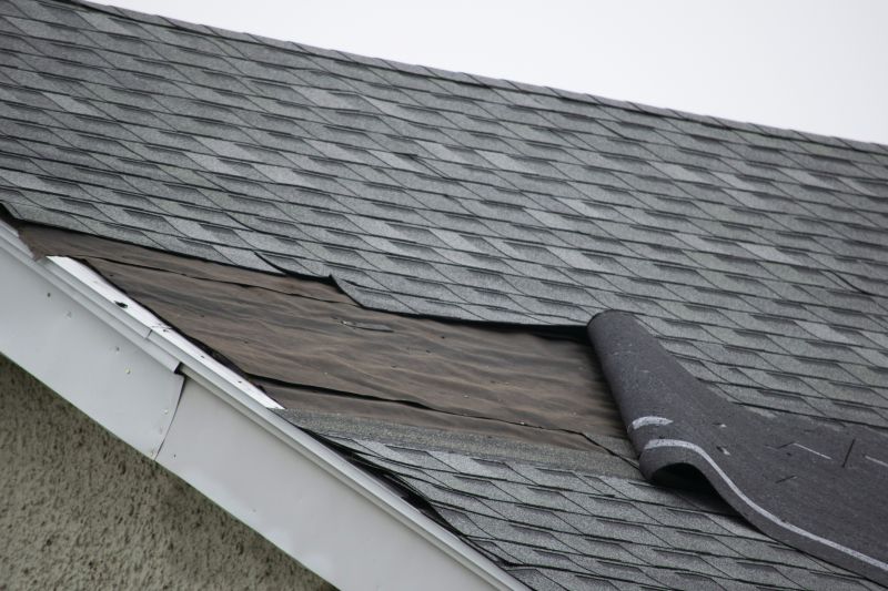 Damaged Shingles Repair